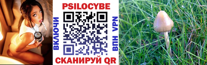 Псилоцибиновые грибы Cubensis  Ермолино 